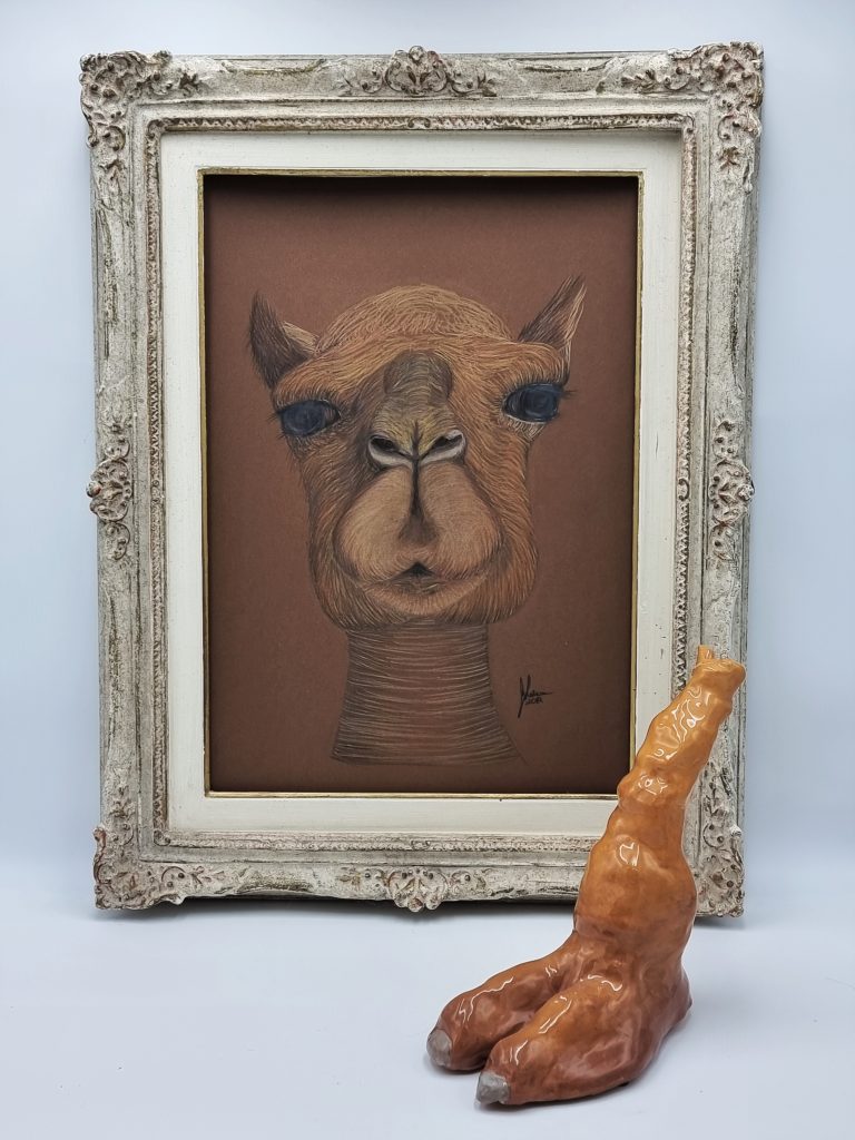 Walking Camel
